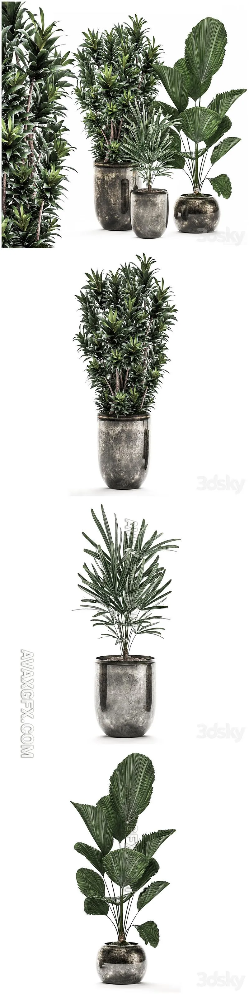 Plant Collection 531 - 3D Model