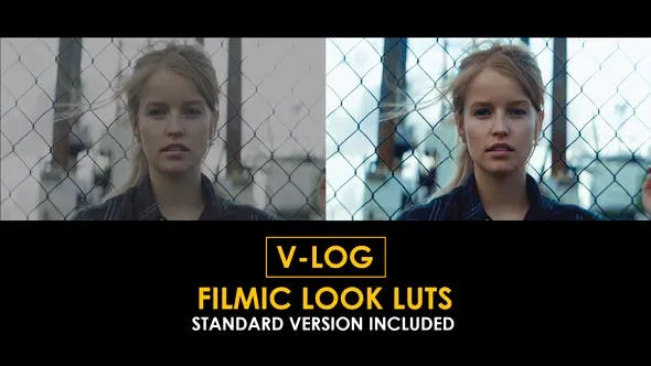 V-Log Filmic Look and Standard LUTs 51434116 Videohive