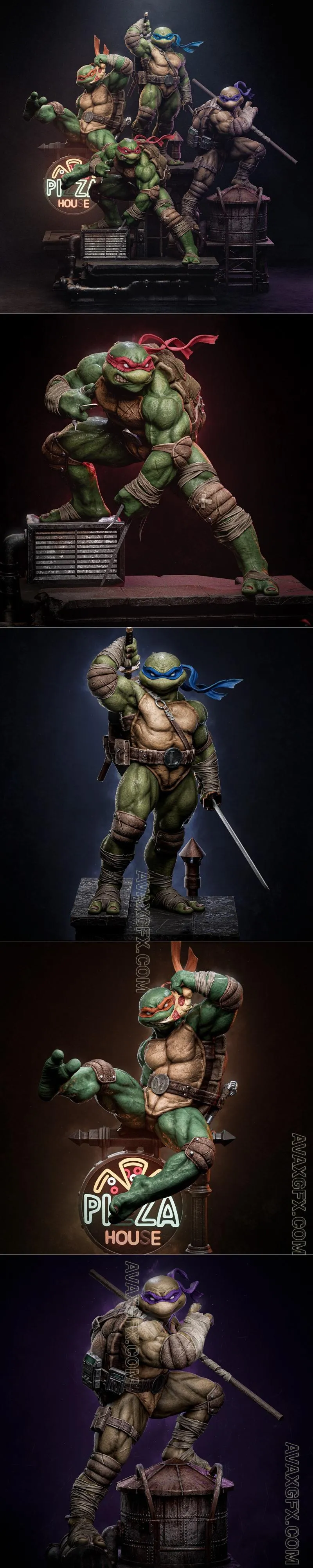 Ca 3d Studios - Turtles Project - STL 3D Model