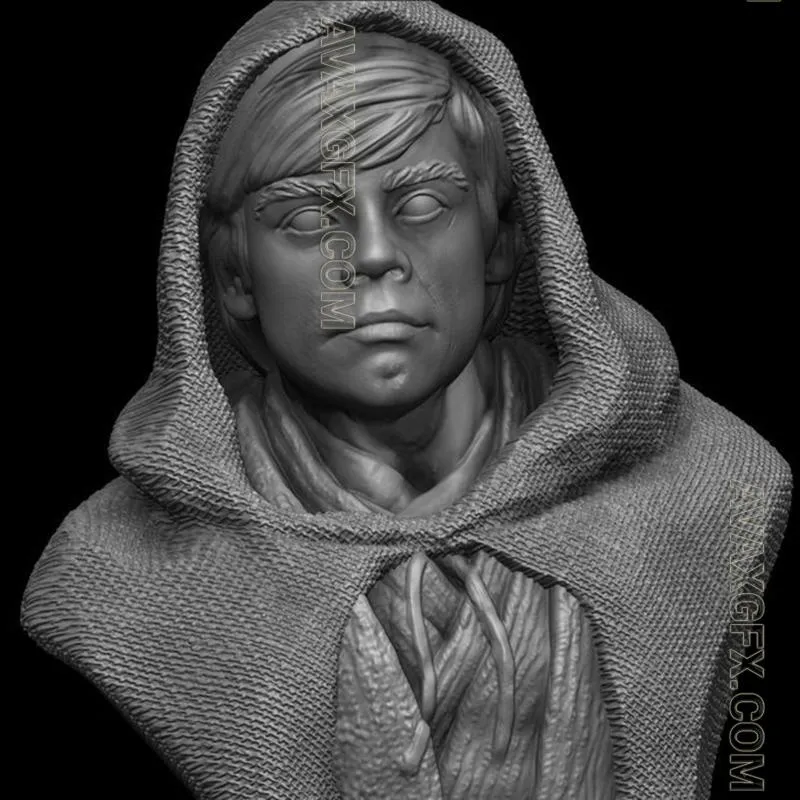 Luke Skywalker Bust - STL 3D Model