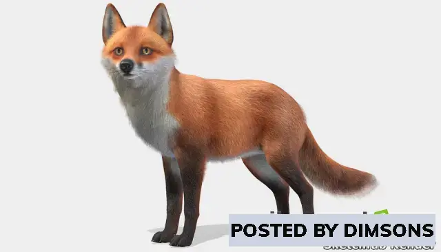 Unreal Engine Characters Fox v4.26+