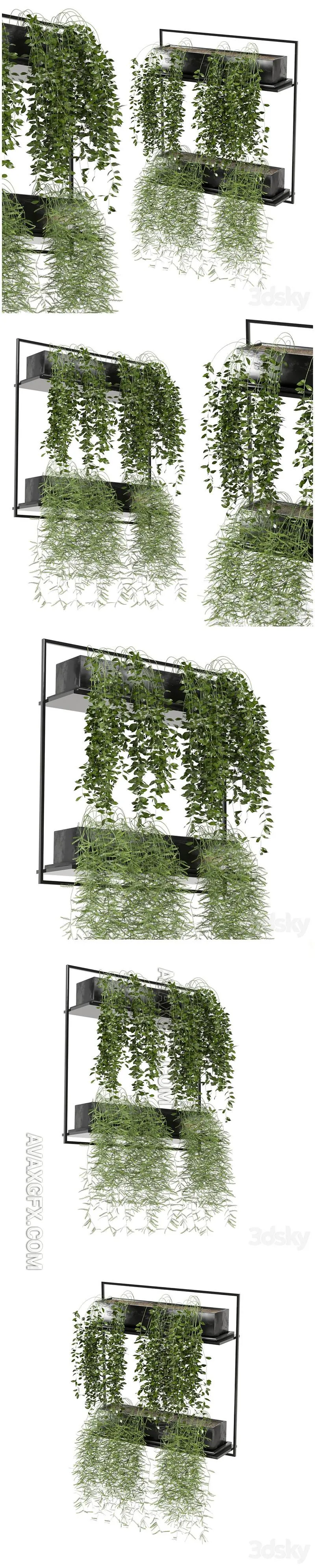 Indoor hanging plants in metal box_set 142 - 3D Model