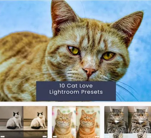 10 Cat Love Lightroom Presets - UD8F55B