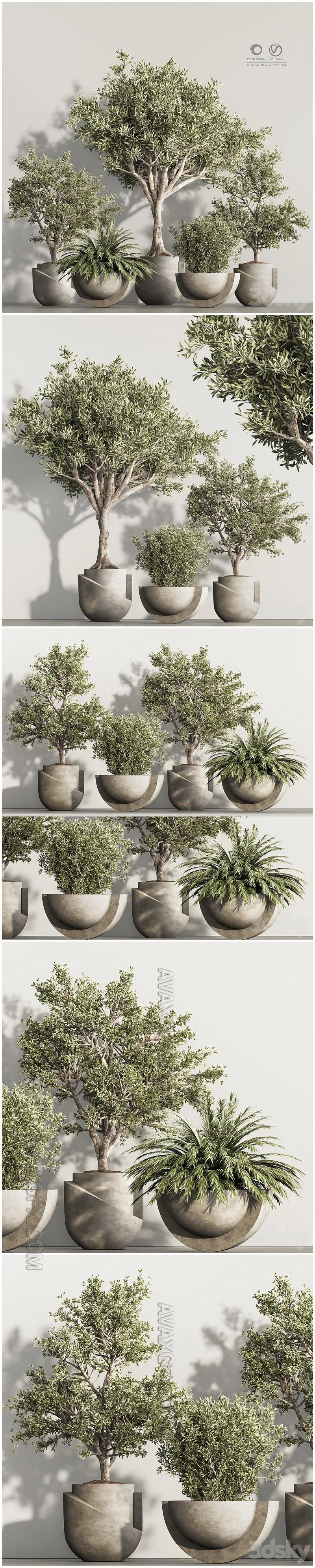 Indoor Plant Set 94 - 3D Model