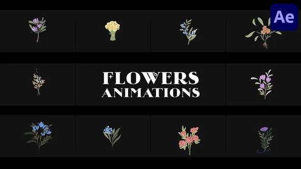 Flowers Falling Into Petals Animations for After Effects 52155580 Videohive