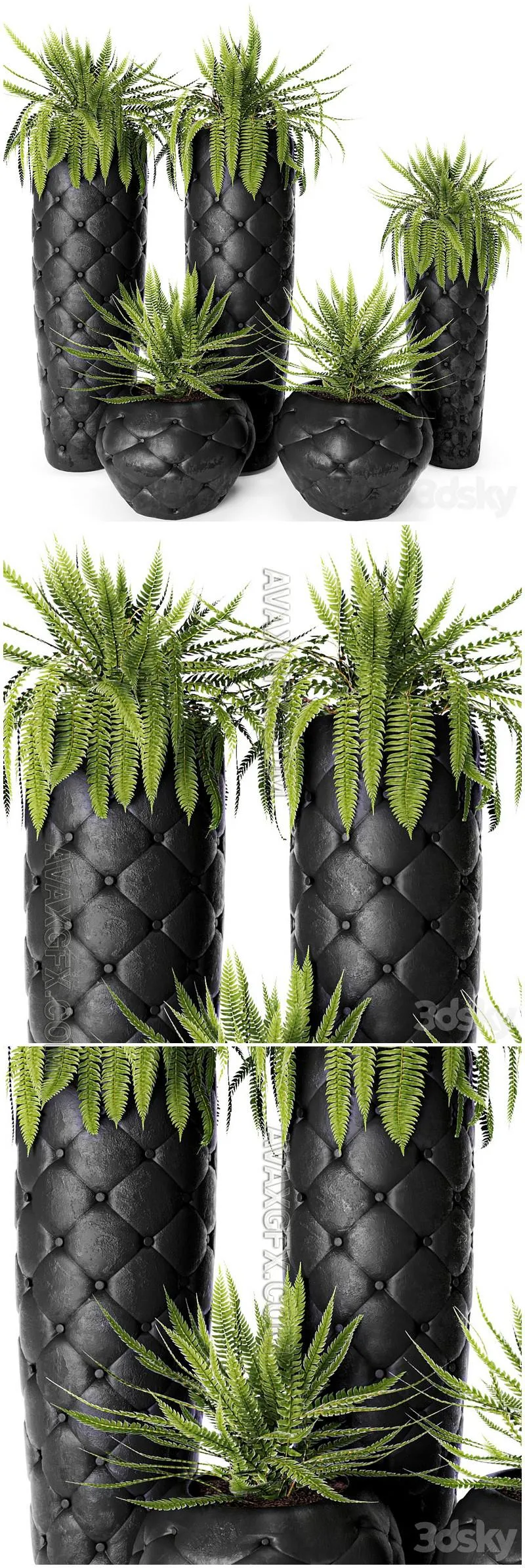 FERN + POTS Fleur Ami, luxury, flower, pot, flowerpot, fern - 3D Model