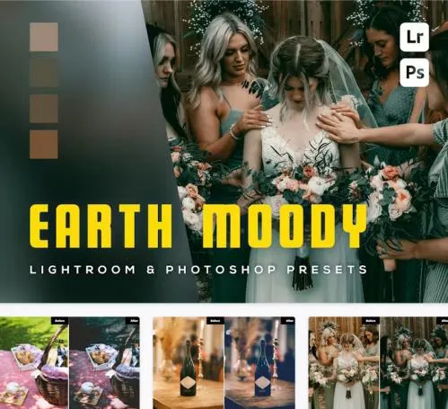 6 Earth moody Lightroom and Photoshop Presets - E6DALEM