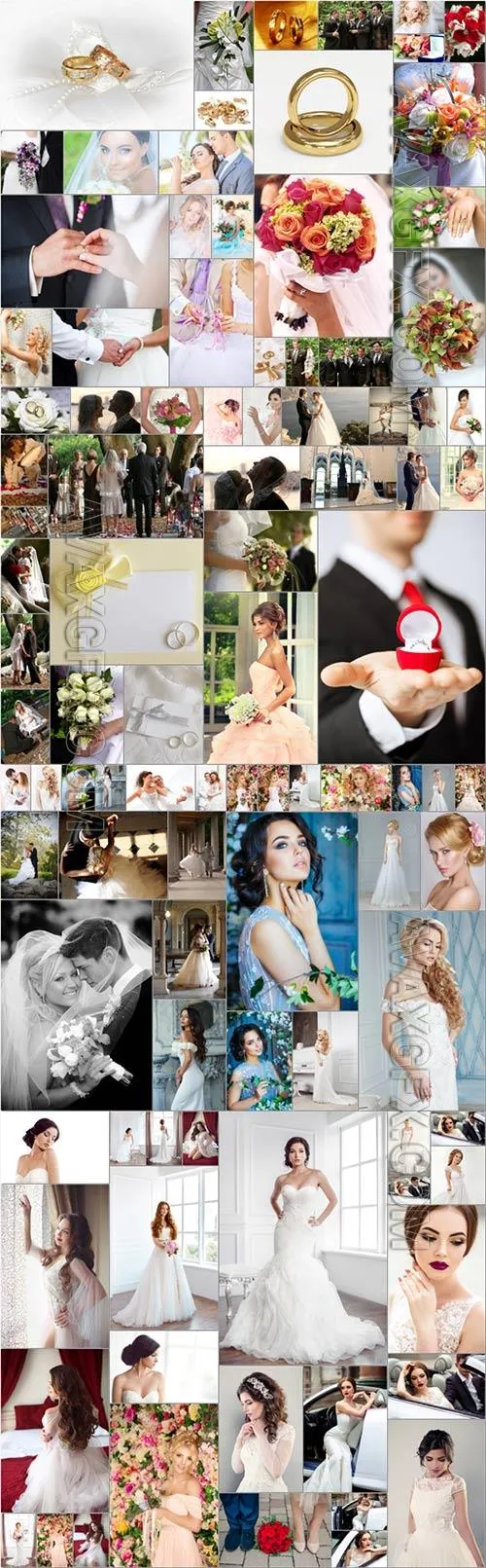 Wedding bundle stock photo 1