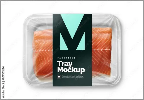 Plastic Tray Mockup - Salmon 801505124