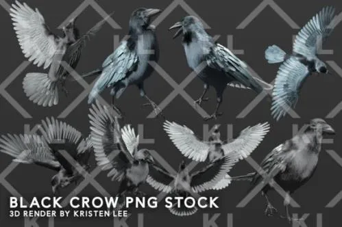 Black Crows PNG Overlays