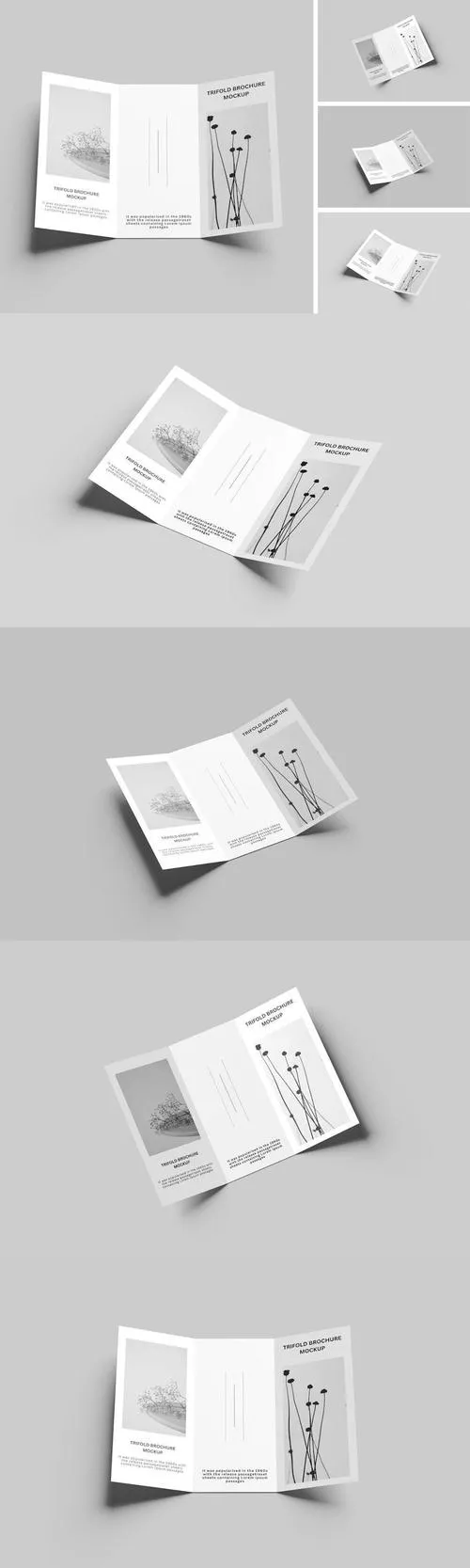 Trifold Brochure Mockup