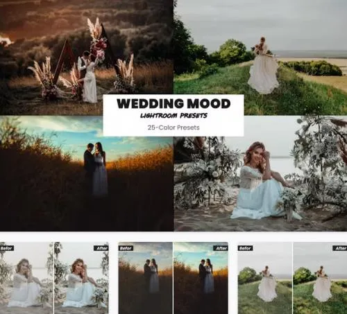 Wedding Mood Lightroom Presets - X9XZ9TS