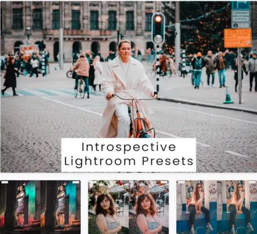 Introspective Lightroom Presets - MWBZYNH