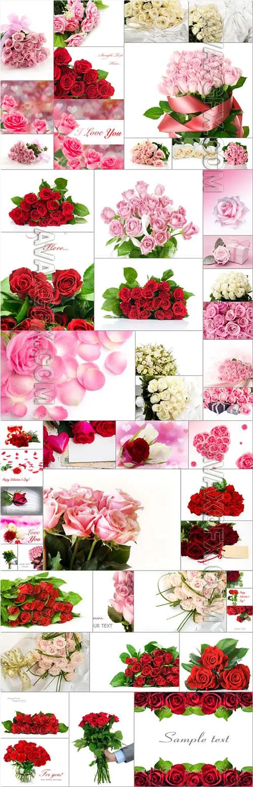 Flowers bundle stock photo 2