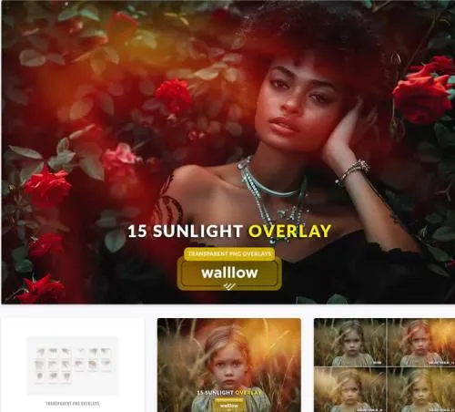 Natural subtle sunlight transparent photo overlays - CZVWB4C