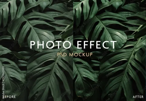 Adobestock - Adjustment Photo Effect Mockup 792865953