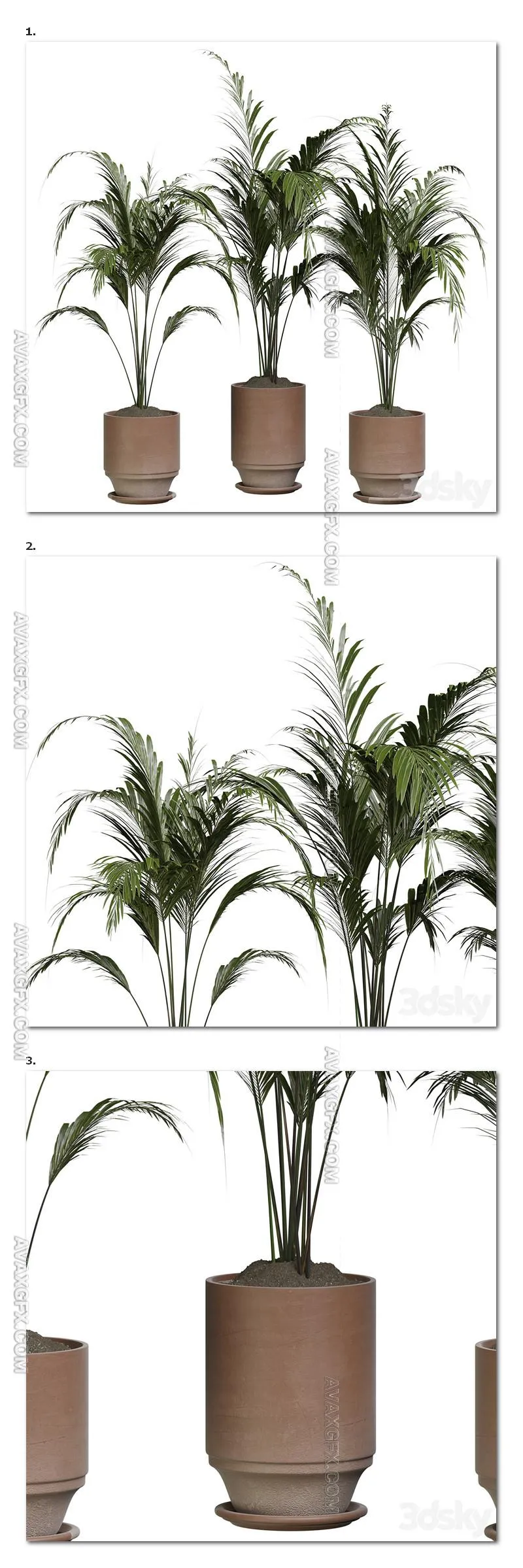 Indoor Plant 286 - 3D Model