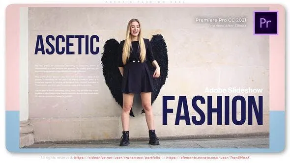 Ascetic Fashion Reel 52216477 Videohive