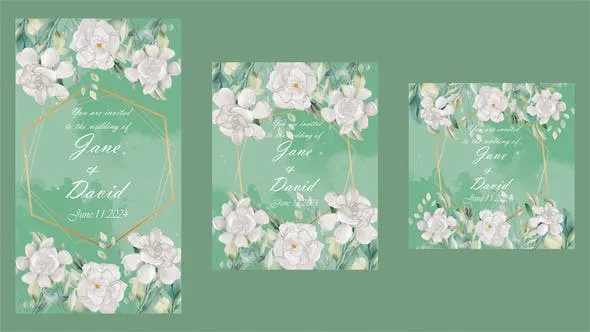 Wedding Invitation 52030297 Videohive