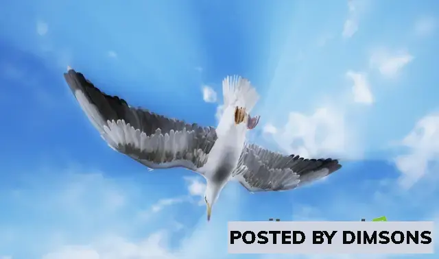 Unreal Engine Characters Birds v5.3