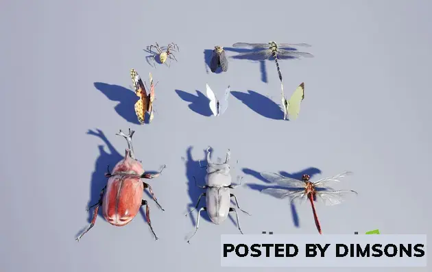 Unreal Engine Characters Japanese Insect Pack v4.22+