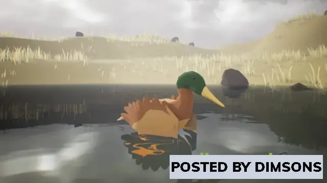 Unreal Engine Characters Low Poly Bird: Mallard Duck v5.3