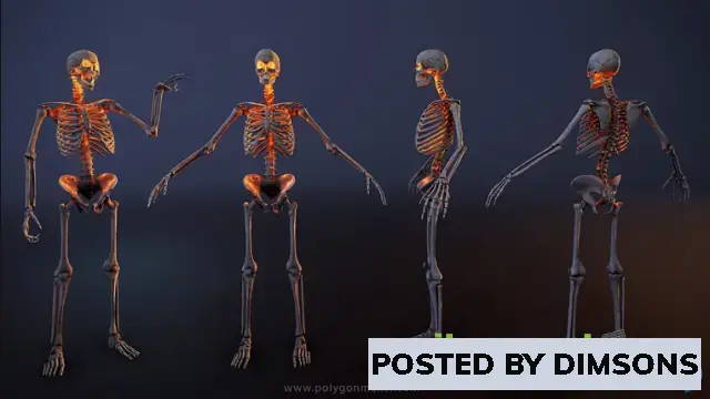 Unreal Engine Characters Monsters - Skeleton v4.26+