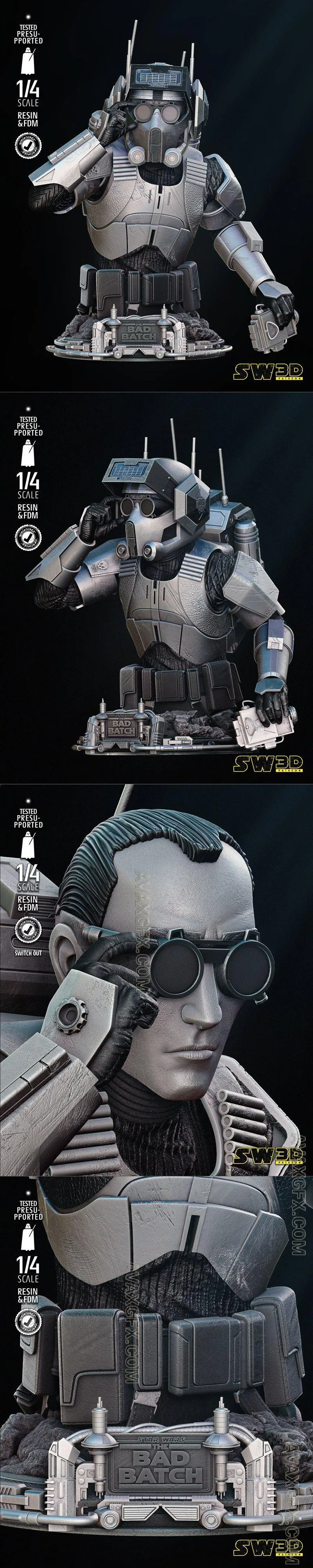 SW3D - Tech Bust - STL 3D Model