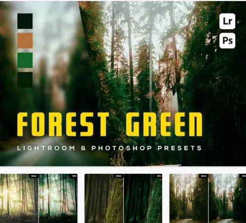 6 Forest Green Lighroom and Photoshop Presets - 7YLVXUR
