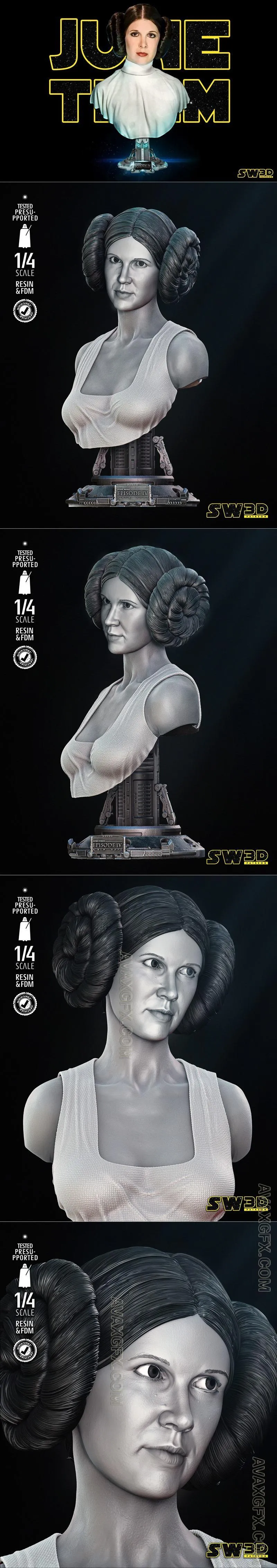 SW3D - Leia Portrait Bust - STL 3D Model