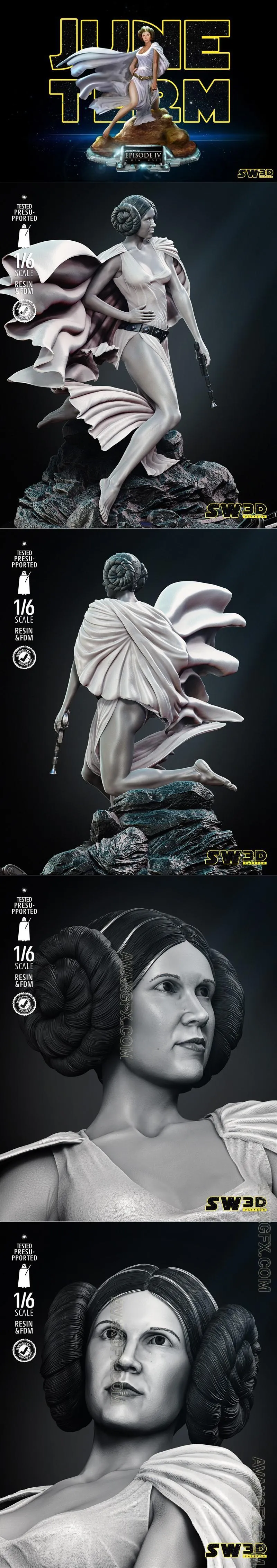 SW3D - Leia Sculpture - STL 3D Model