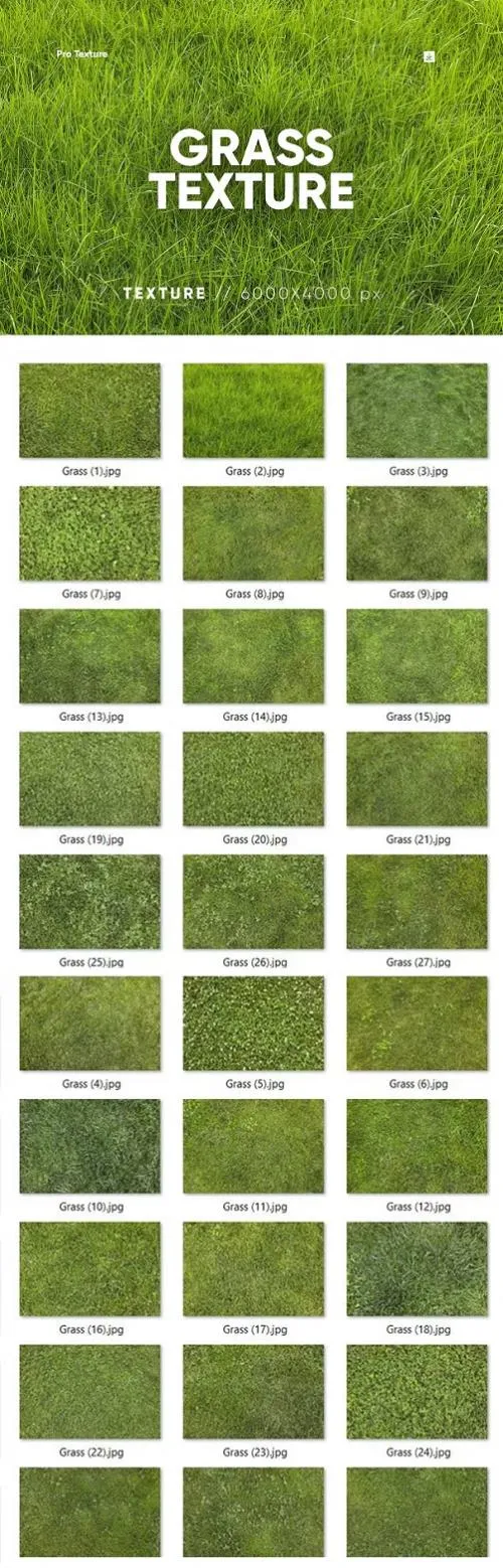 30 Grass Texture HQ - 279728282