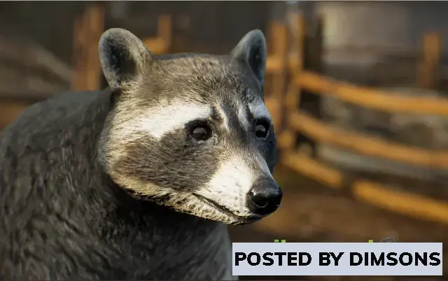 Unreal Engine Characters Animalia - Raccoon v4.24+