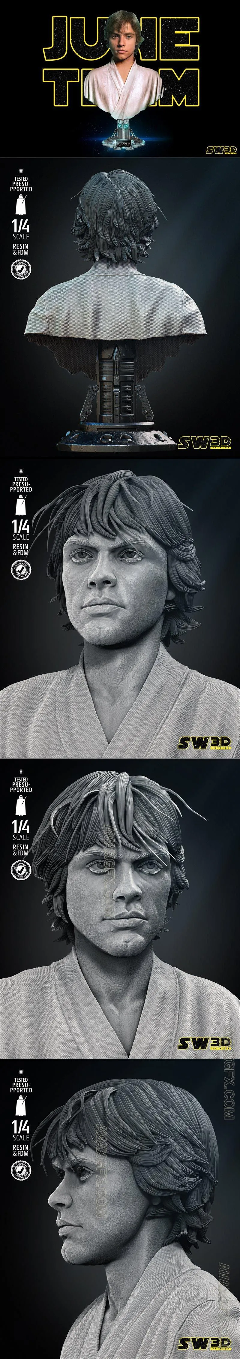 SW3D - Luke Portrait Bust - STL 3D Model