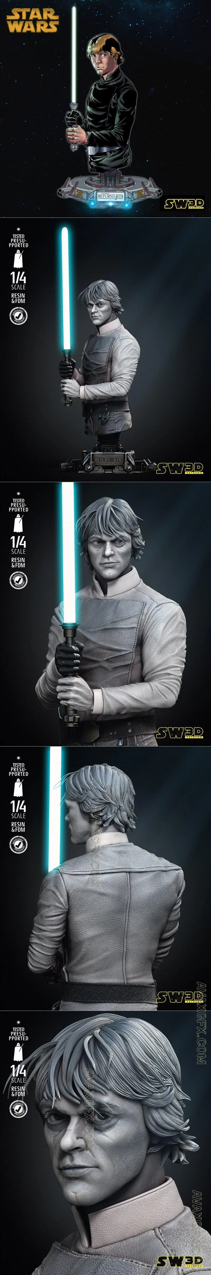 SW3D - Luke Return of Jedi Bust - STL 3D Model