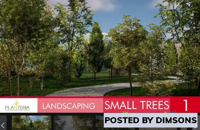 Unreal Engine ArchViz Landscaping Small Trees 1 v5.1+