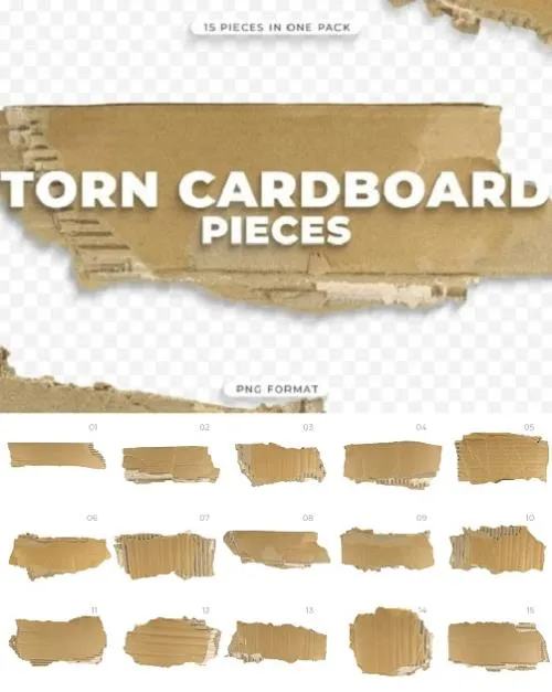 15 Torn Cardboard Pieces - 8E45FGR